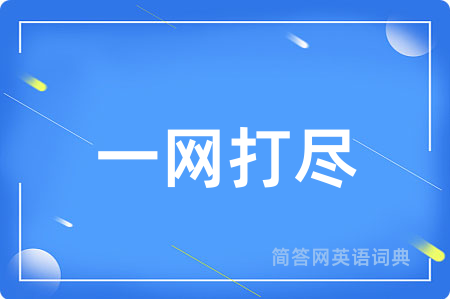 一网打尽