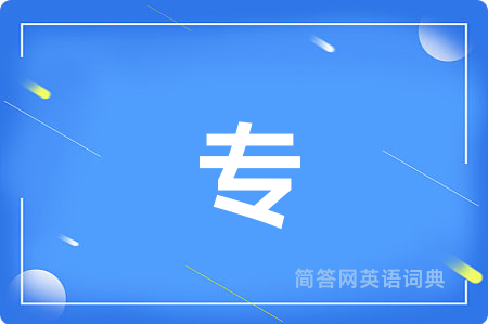 专