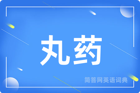 丸药