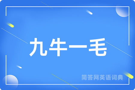 九牛一毛