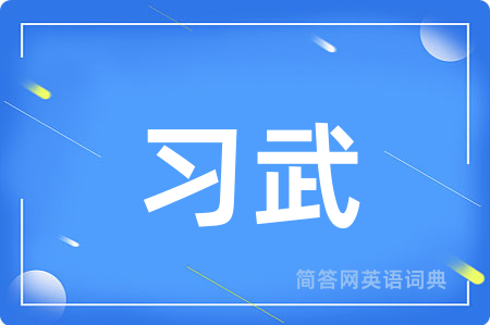 习武