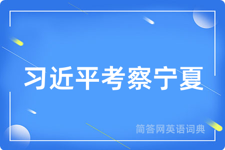 习近平考察宁夏