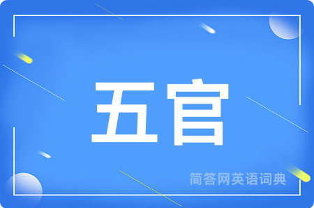 五官用英语怎么说,五官的英语翻译 五官