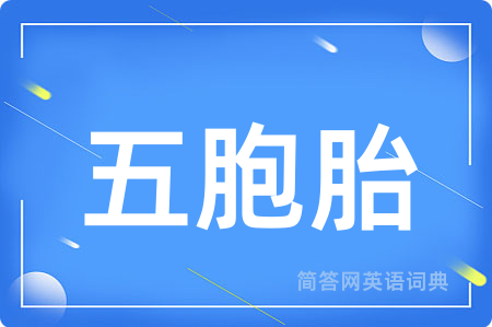 五胞胎用英语怎么说,五胞胎的英语翻译 五胞胎