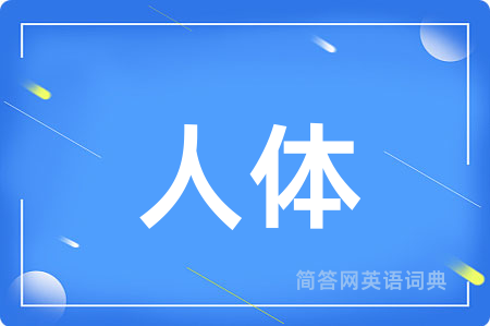 人体