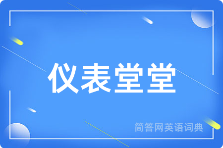 仪表堂堂