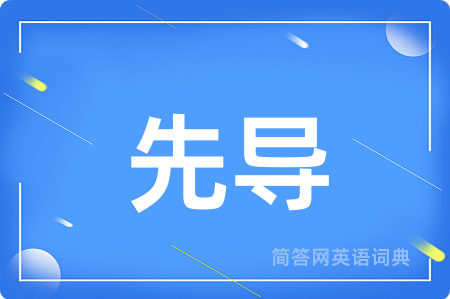 先导