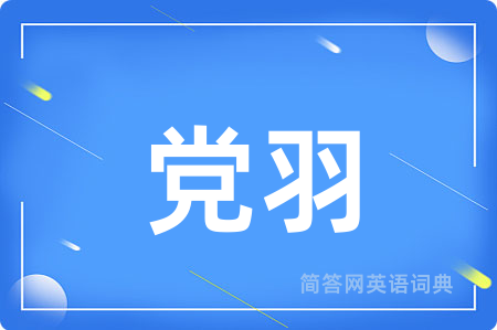 党羽用英语怎么说,党羽的英语翻译 党羽