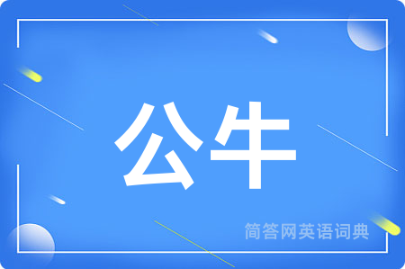 公牛