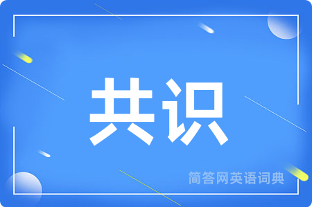 共识用英语怎么说,共识的英语翻译 共识