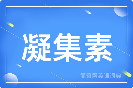 凝集素