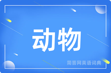 动物用英语怎么说,动物的英语翻译 动物