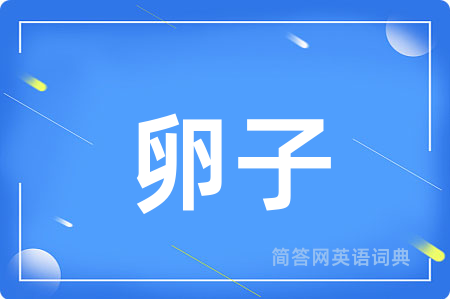 卵子用英语怎么说,卵子的英语翻译 卵子