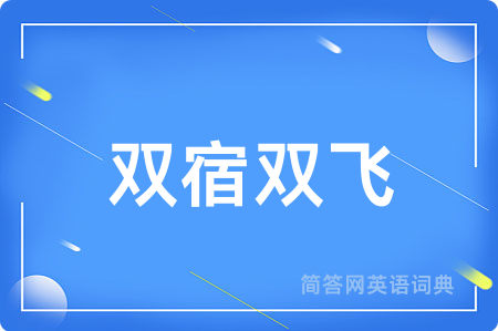 双宿双飞