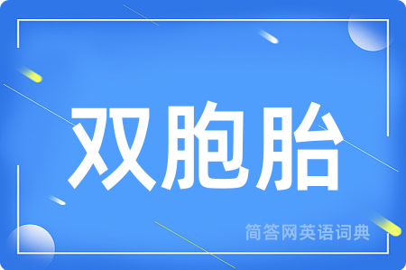 双胞胎