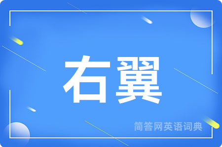 右翼用英语怎么说,右翼的英语翻译 右翼