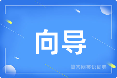 向导