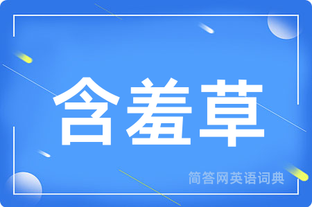 含羞草用英语怎么说,含羞草的英语翻译 含羞草