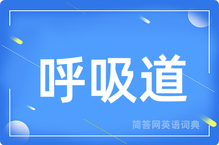 呼吸道