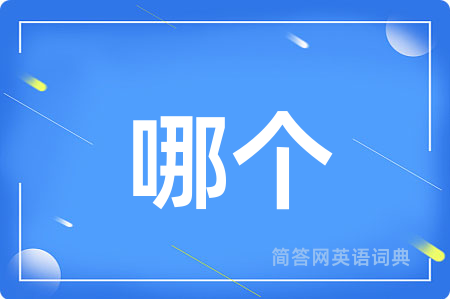 哪个用英语怎么说,哪个的英语翻译 哪个