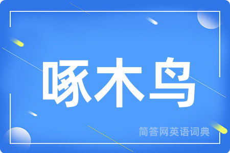 啄木鸟用英语怎么说,啄木鸟的英语翻译 啄木鸟