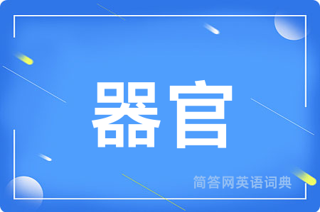 器官用英语怎么说,器官的英语翻译 器官