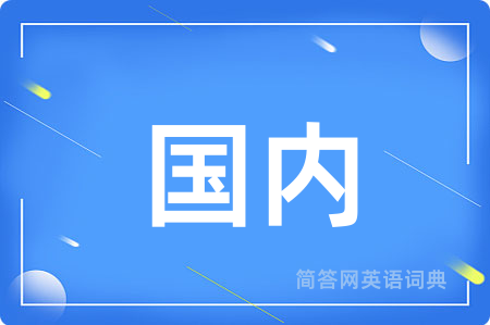 国内