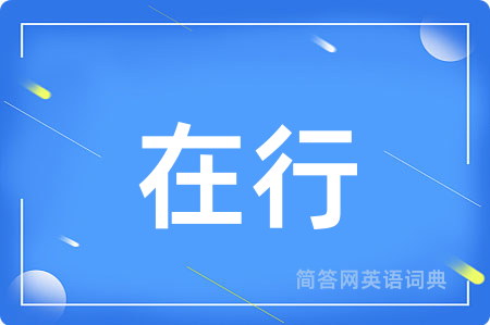 在行