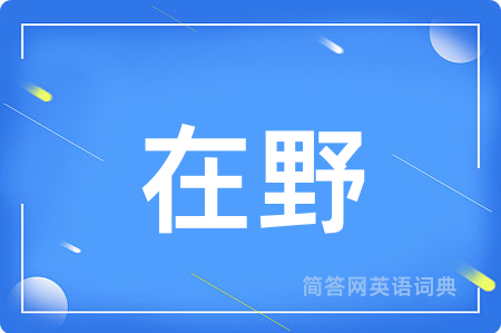 在野