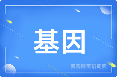 基因