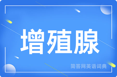增殖腺