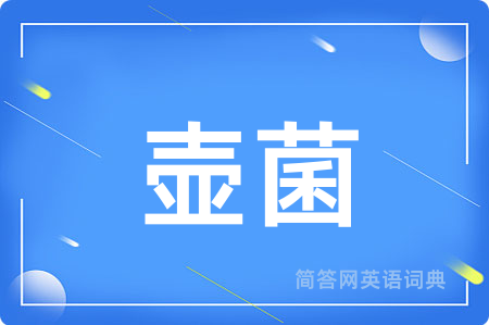 壶菌
