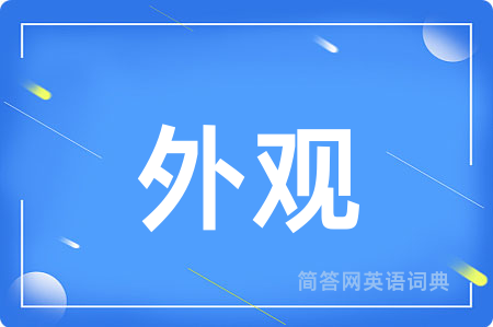 外观