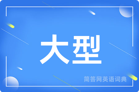 大型