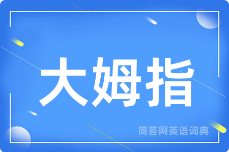 大姆指