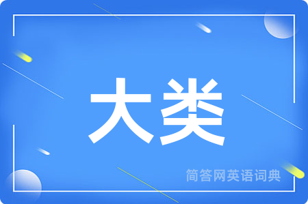 大类