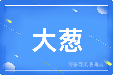 大葱用英语怎么说,大葱的英语翻译 大葱