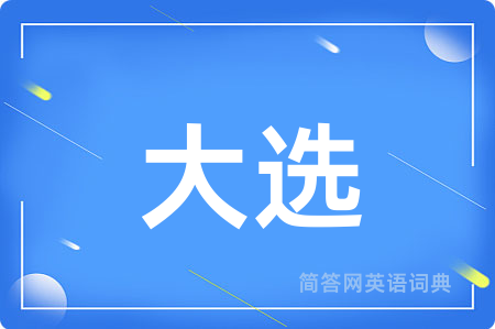 大选