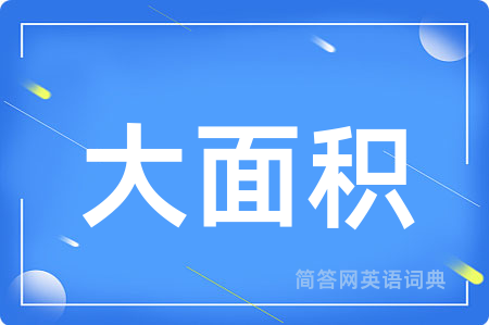 大面积用英语怎么说,大面积的英语翻译 大面积