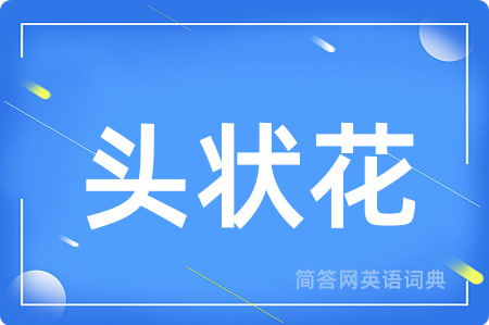 头状花