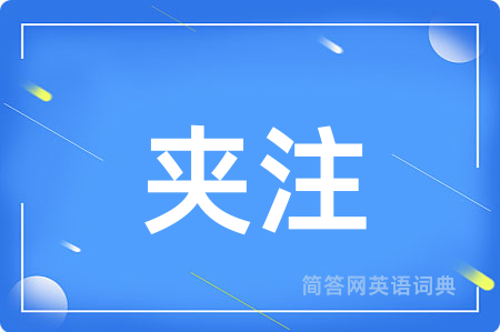 夹注