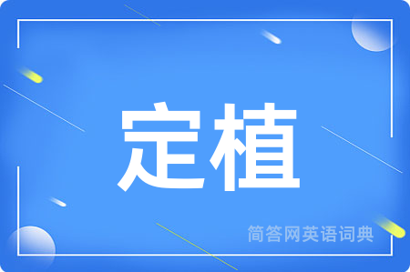 定植