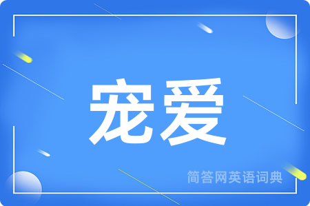 宠爱用英语怎么说,宠爱的英语翻译 宠爱