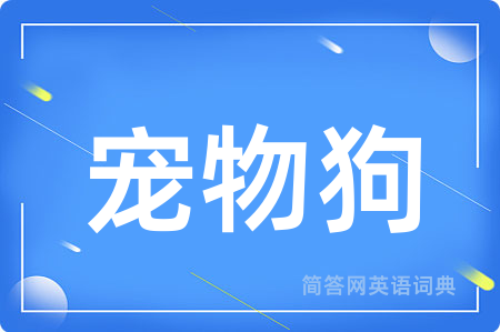宠物狗用英语怎么说,宠物狗的英语翻译 宠物狗