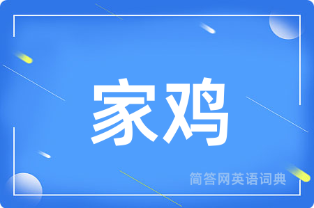 家鸡用英语怎么说,家鸡的英语翻译 家鸡
