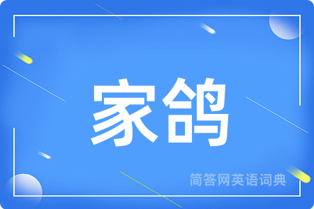 家鸽
