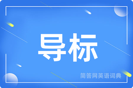 导标