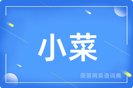 小菜用英语怎么说,小菜的英语翻译 小菜