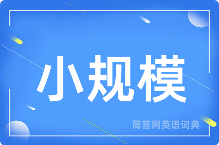 小规模用英语怎么说,小规模的英语翻译 小规模