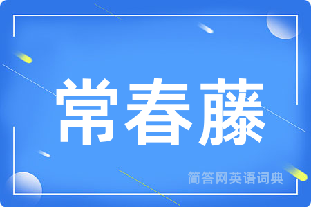常春藤